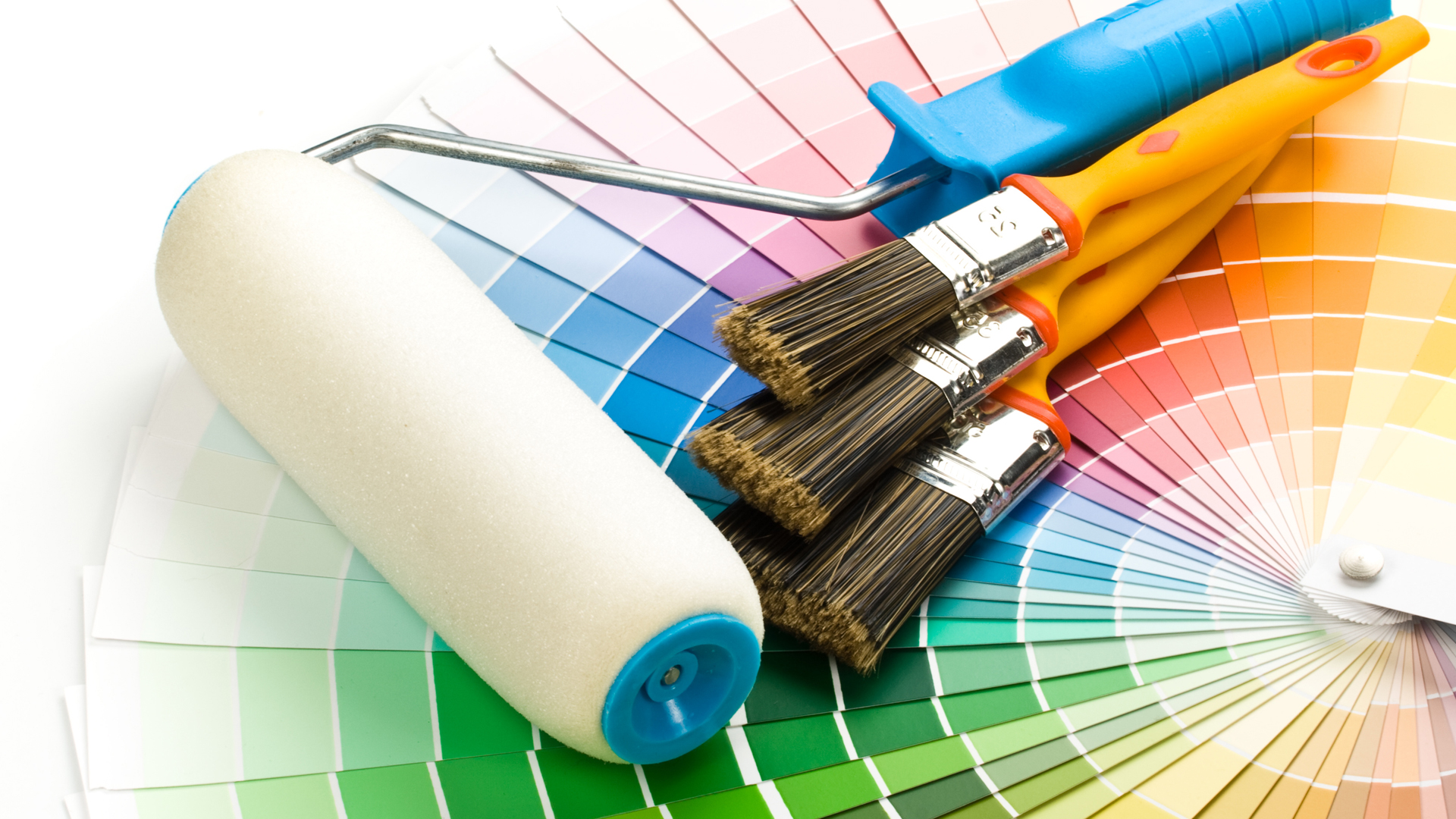 Rouleaux de peinture colorés et nuancier - Entreprise Pro peinture et bâtiment